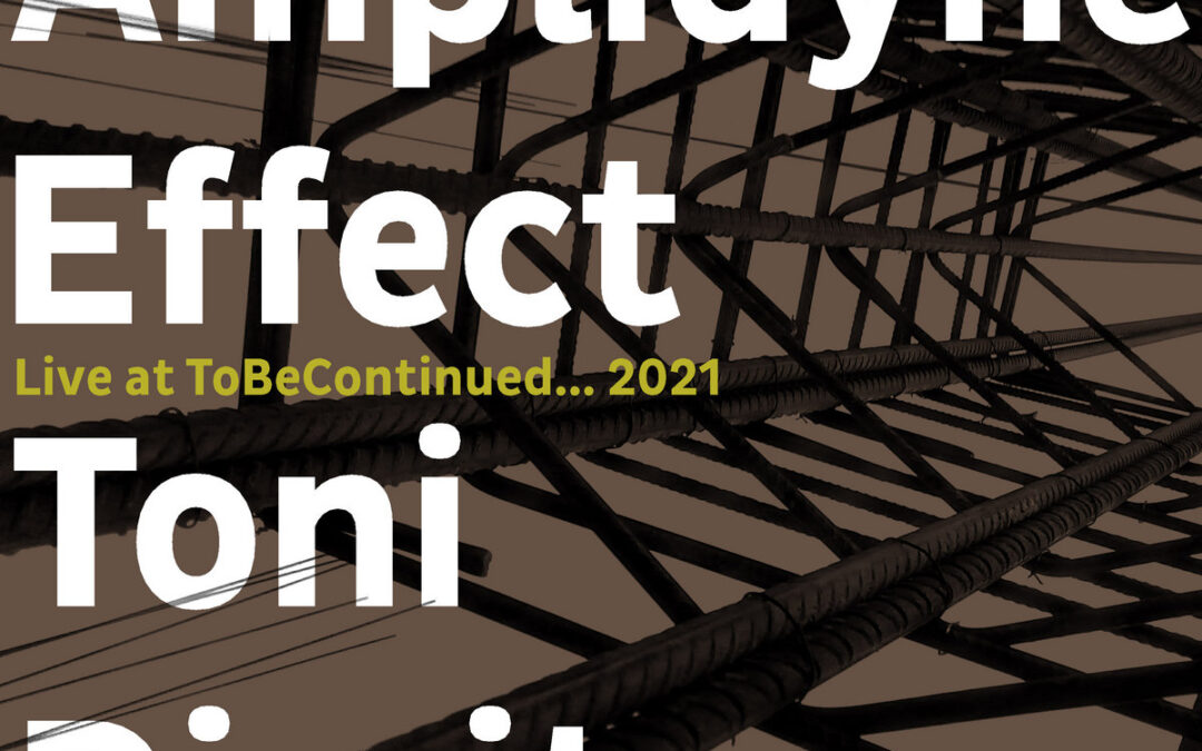 Amplidyne Effect & Toni Dimitrov –  Live at ToBeContinued​.​.​. 2021